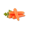 Vegetables Cabbage